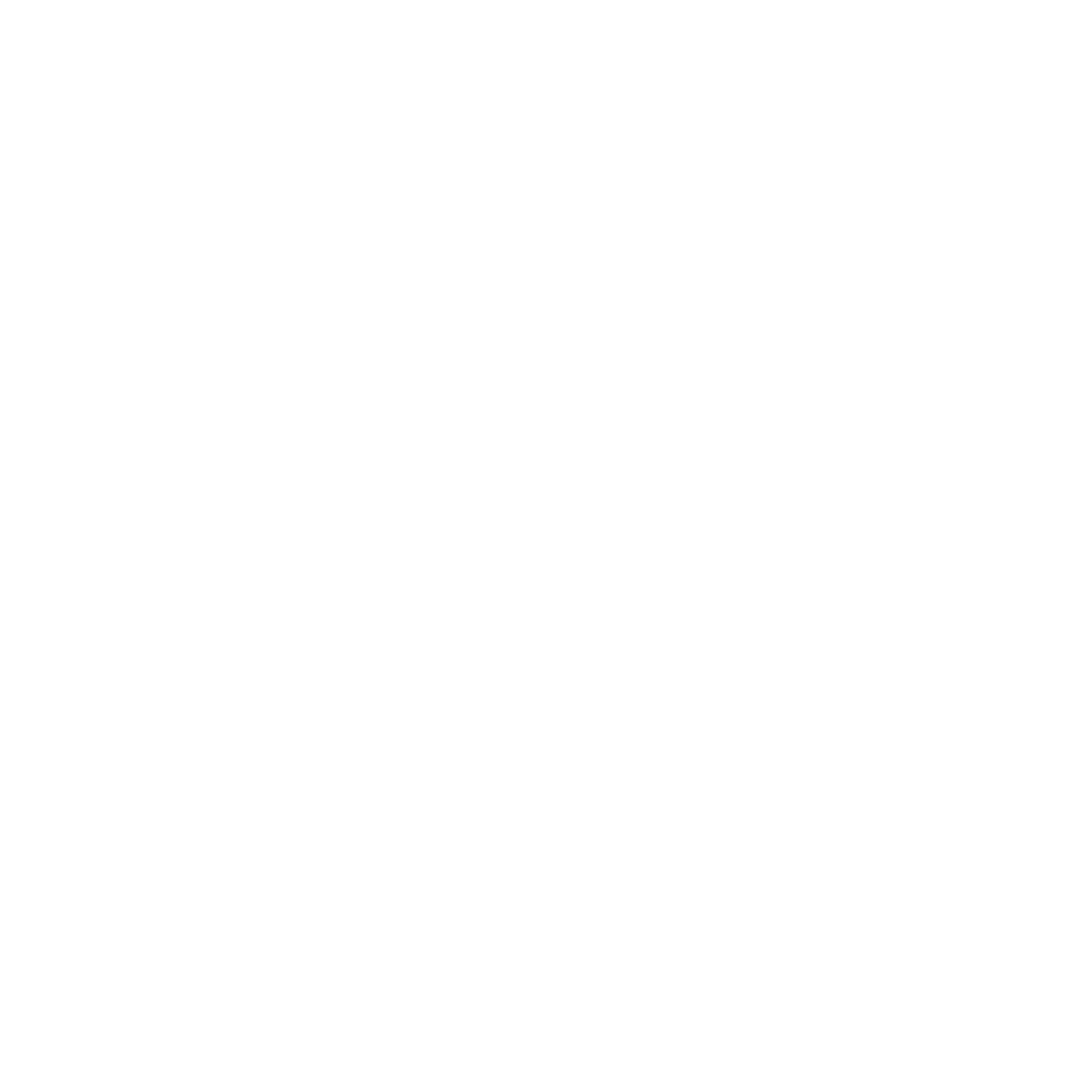 Coaching Premier IMG