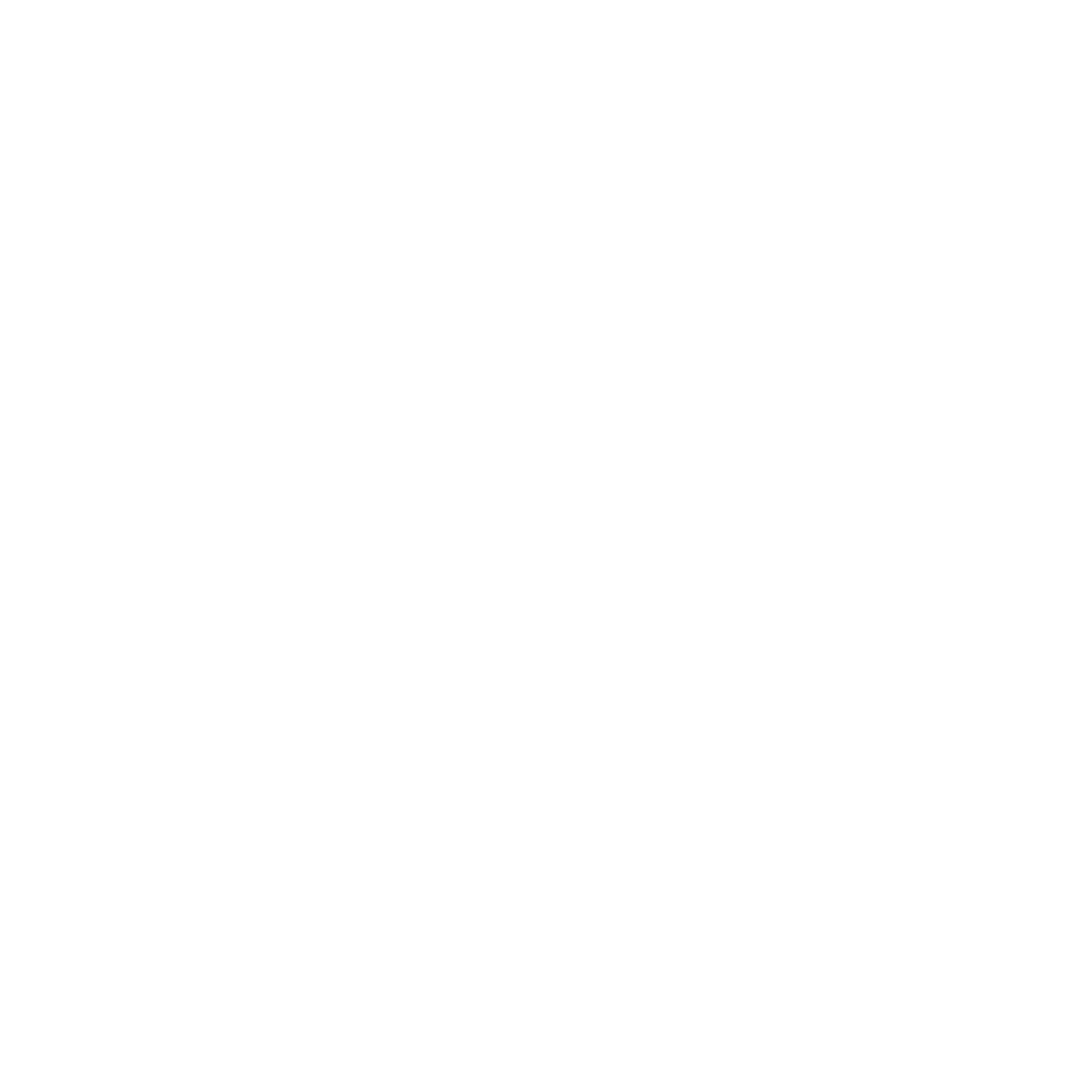 Voluntario Premier IMG