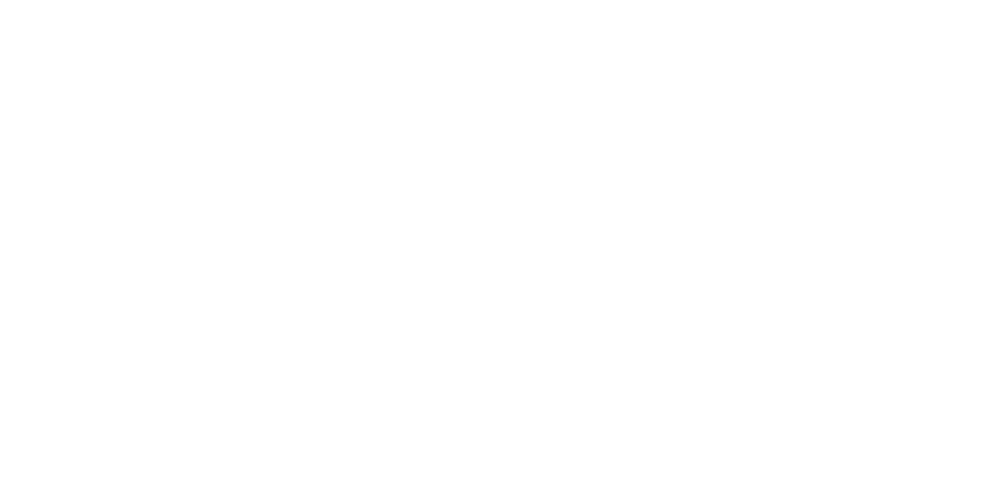 Premier Automotriz