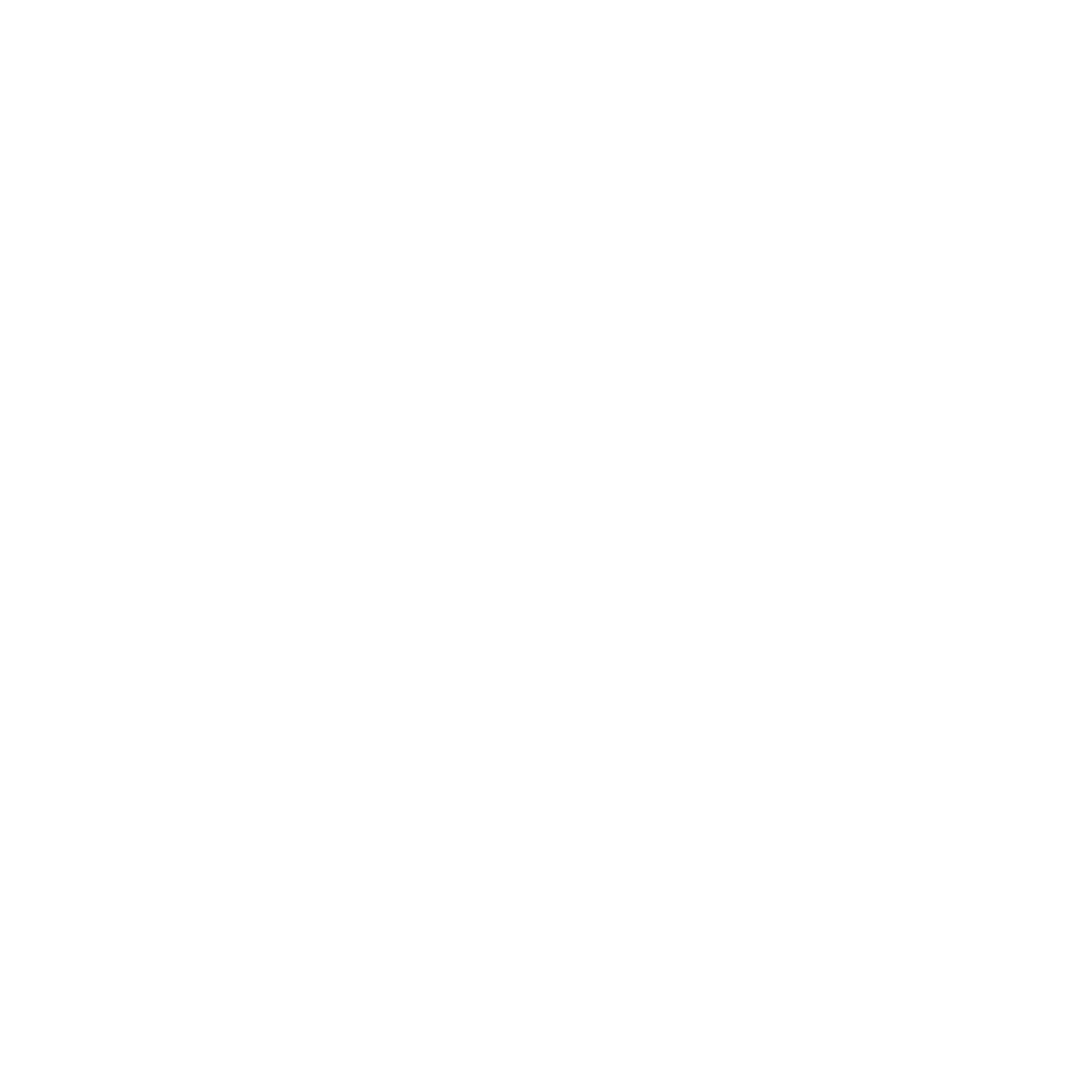 Hyundai IMG